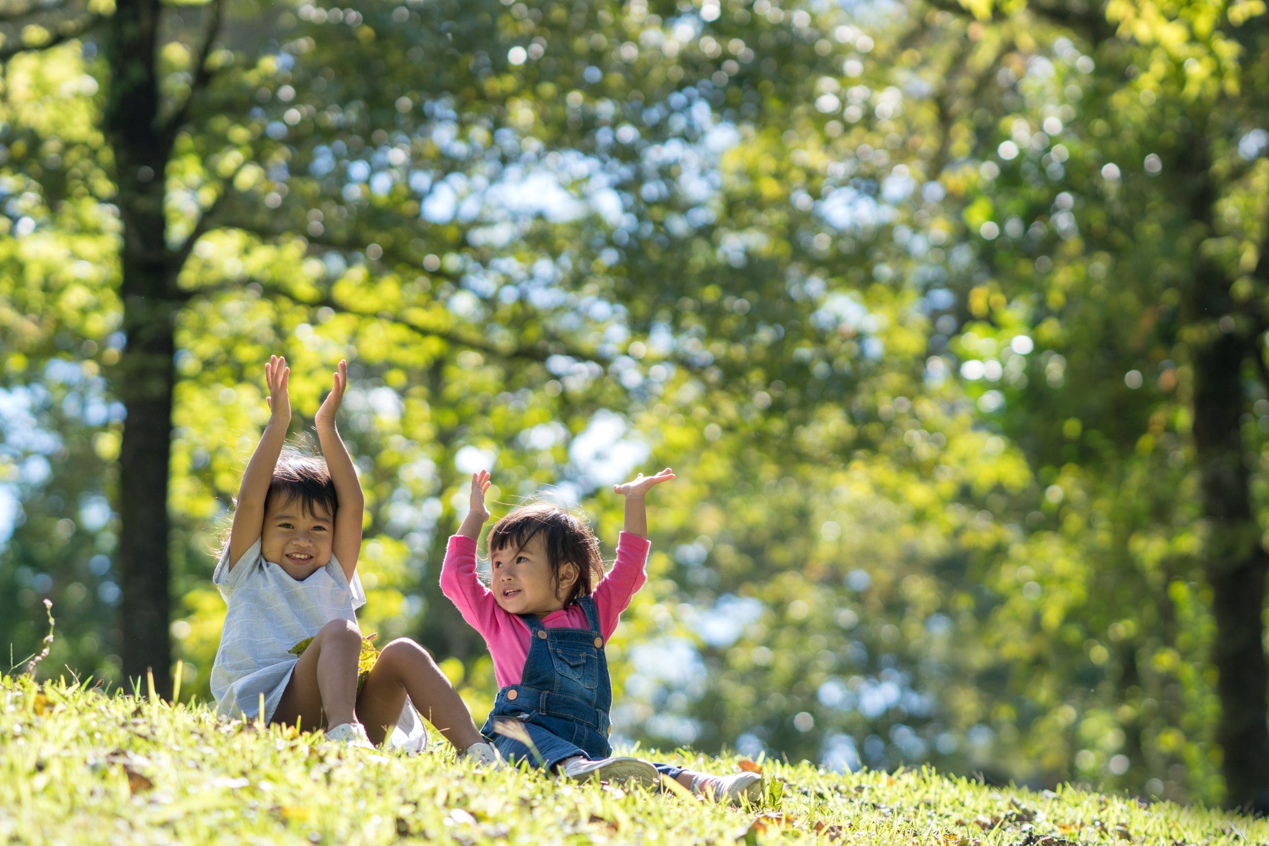 CHC50221 Diploma of School Age Education and Care