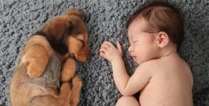 pup and baby sleeping