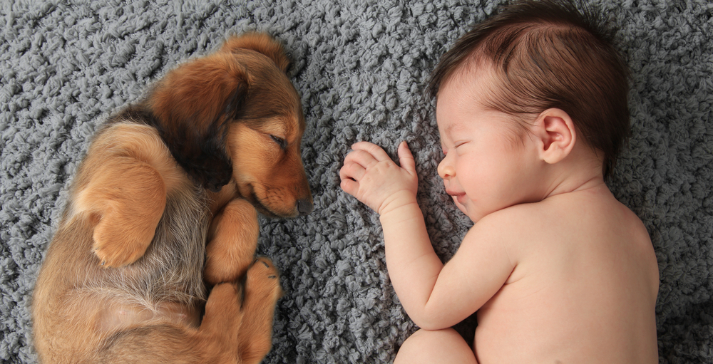 Sleeping Beauties [Top 5 Safe Sleep Tips in Child Care]